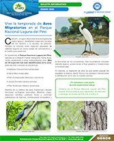 PORTADA_WEB_-_Boletín_aves_migratorias.jpg